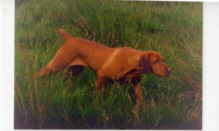 Image of Crystal Clear Creek