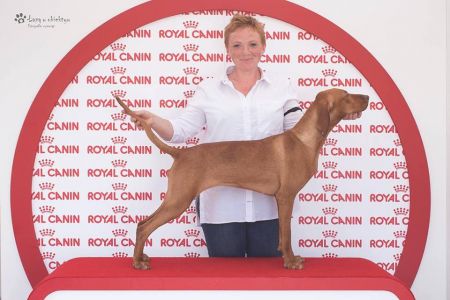 Image of Fera Ruda Szata