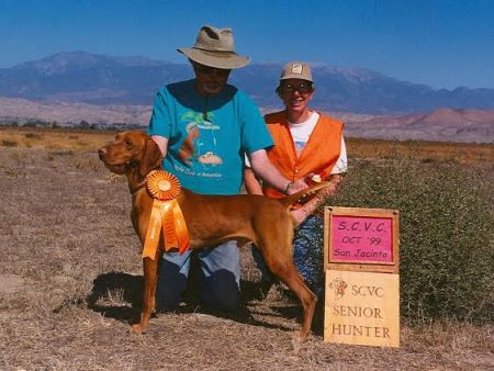 Image of Caveat Revelation Cal-Boy