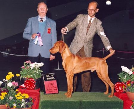 Image of Caveat Revelation Cal-Boy