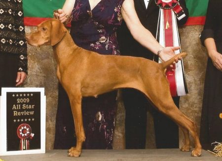 Image of Comynara's Opus By Barktalk