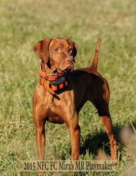 Image of Mira's Mr Playmaker