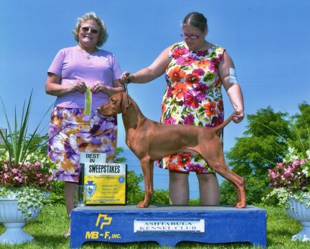 Image of Stardust N Stonepointes Legendary Journey