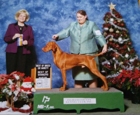 Image of Stardust N Stonepointes Legendary Journey