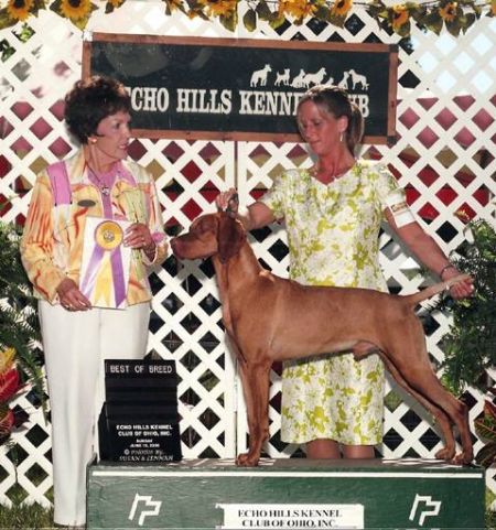 Image of Wingsong's Patriotic Spirit