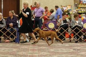 Image of Stardust's Don't Stop Believin'