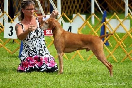 Image of Deerrun Foreshadowinggreatness