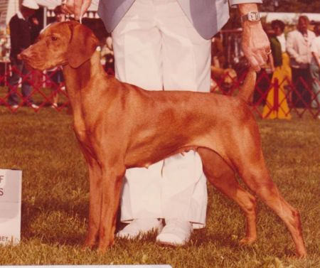 Image of Soapstone's Windsong