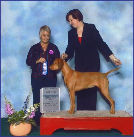 Image of Benchmark Bella Of The Ball