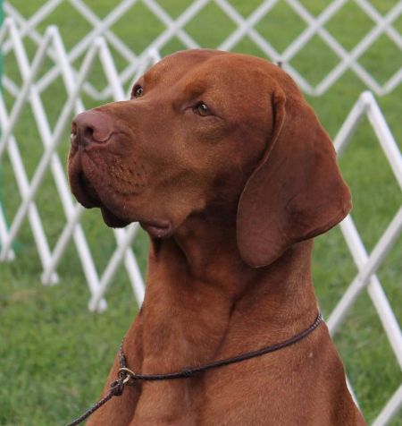 Image of Autumn Acres Eye Opener