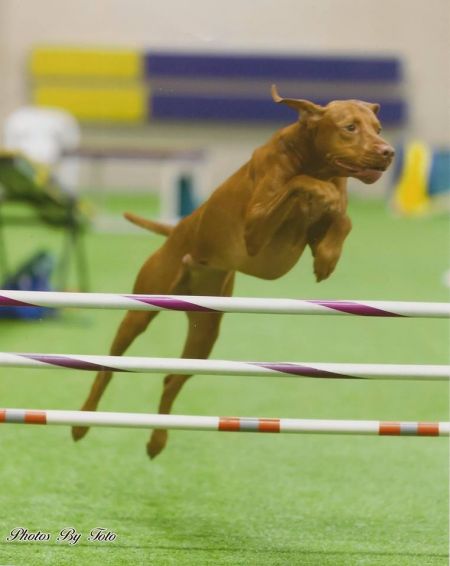 Image of Autumn Acres Eye Opener