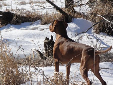 Image of Autumn Acres Eye Opener