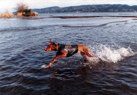 Image of Vot Zdorova Fantazija