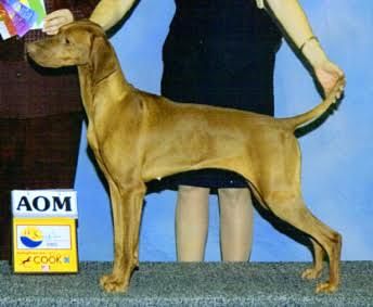 Image of Jen's Penny Madison's Uptown Girl