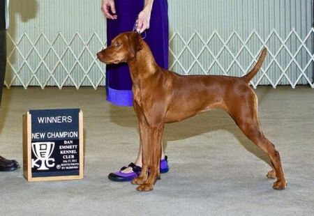 Image of Creme de la Creme Brulee