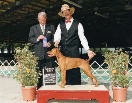 Image of Jnek's Little Miss Swing Kat