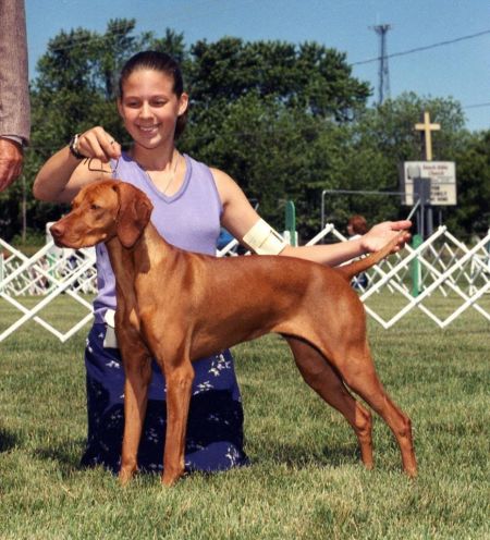 Image of Jnek's Little Miss Swing Kat