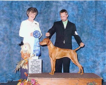 Image of Tamaron's Reign Of Fire