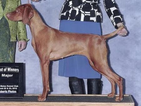 Image of Red Diamond Queen Of Chaos