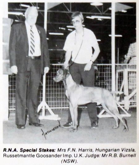 Image of Russetmantle Goosander