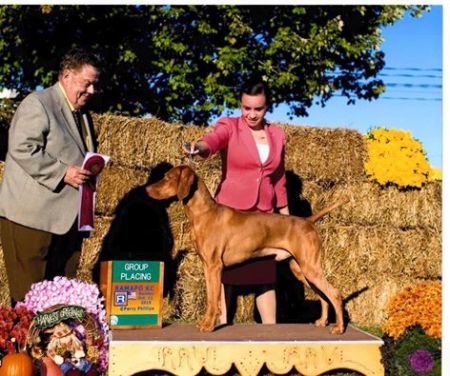 Image of Berkcor's Wrecking Crew