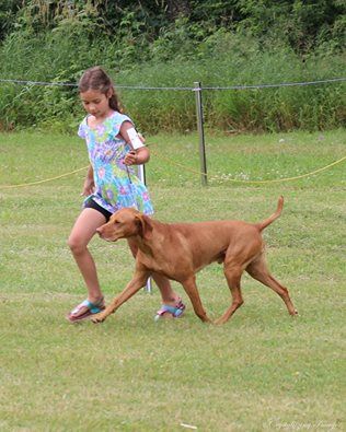 Image of Ourdream's Star Spangled Banner