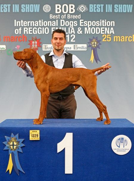 Image of Minos del Fatal Becco