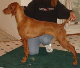 Image of Szizlin's Secret Garden