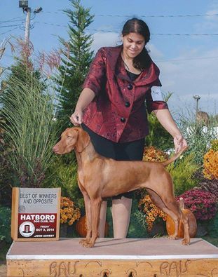 Image of Cameo's Rio Grand