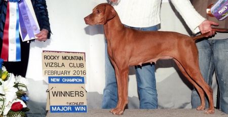 Image of Razn A Good Point