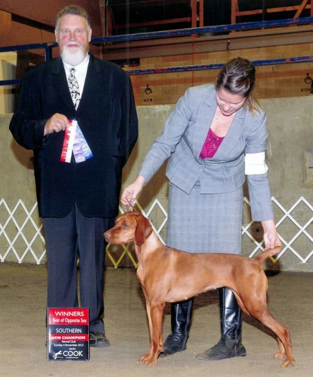 Image of Tierah Lets Call The Whole Thing Off