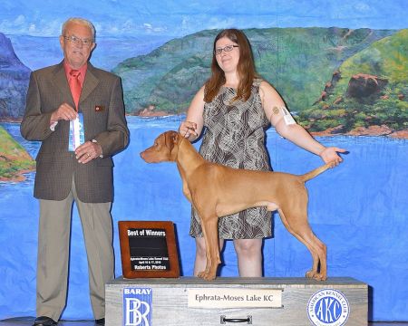 Image of Riverside's Start Me Up Jagger