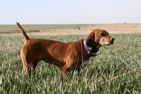 Image of Ciara Markham