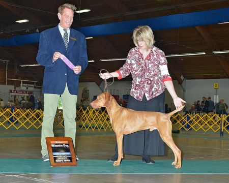 Image of Taylor Made's Island Voyage