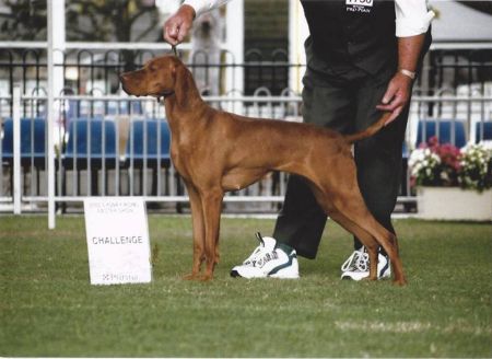 Image of Kimlise Solway Mist