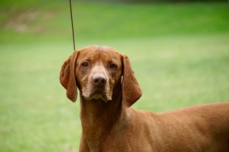 Image of Palaway Metropolis