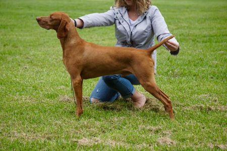 Image of Palaway Metropolis