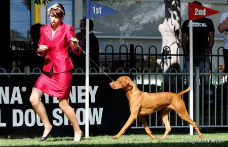 Image of Palaway Metropolis