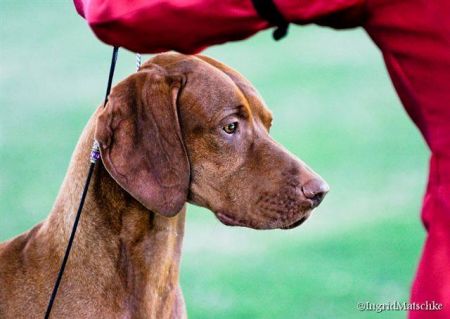 Image of Palaway Metropolis