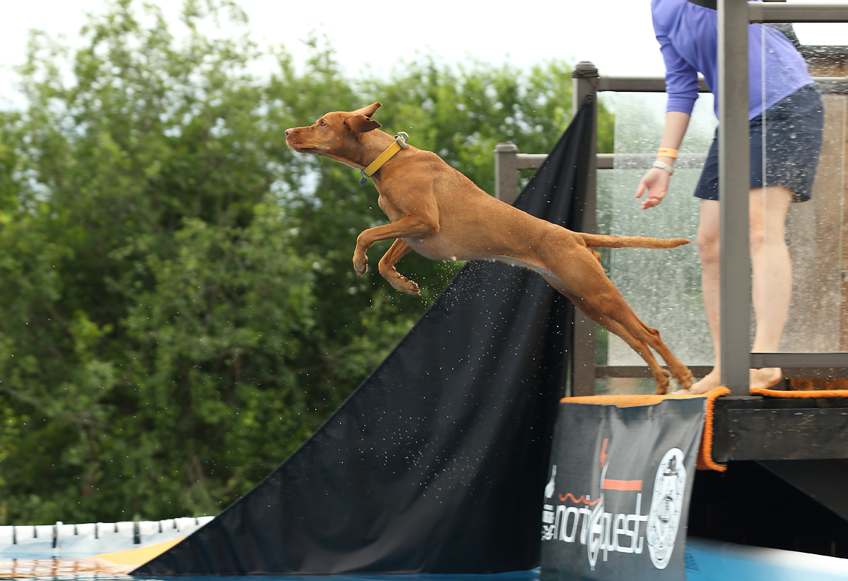 Image of Tina Trading Naira Nadira