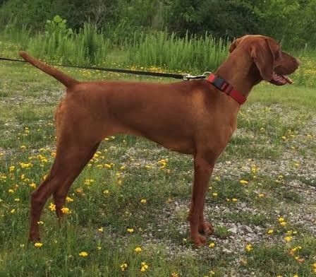 Image of Pinewood's Eva Gonzalez of Pura Vida