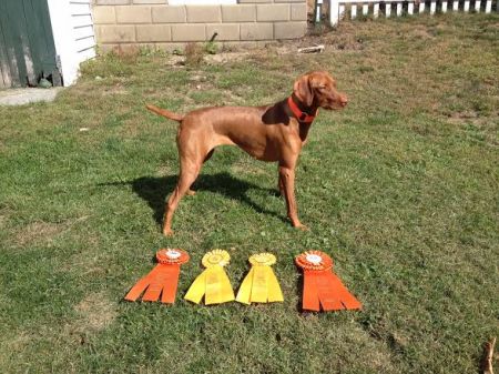 Image of Scarlett Hill