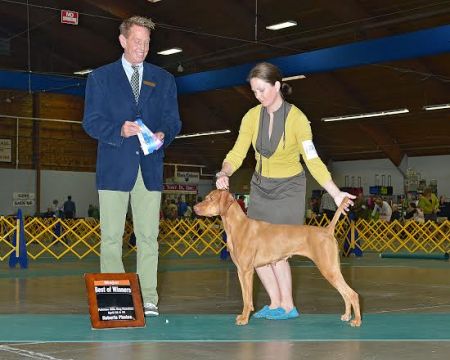 Image of Toldin's Roamin Goddess
