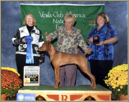 Image of Bankers In The Money