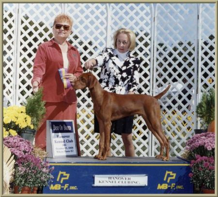 Image of Bankers Got Money