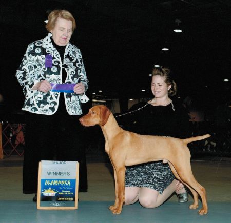 Image of Bankers N'Solaris Home Run