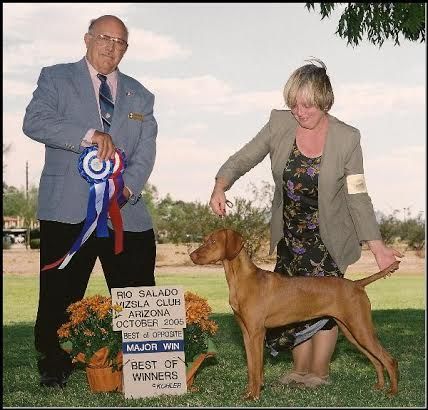 Image of Sleepy Hollow Scout It Out