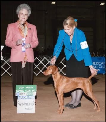 Image of Sleepy Hollow Misdemeanor