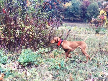 Image of My 'lil Mel-Annie