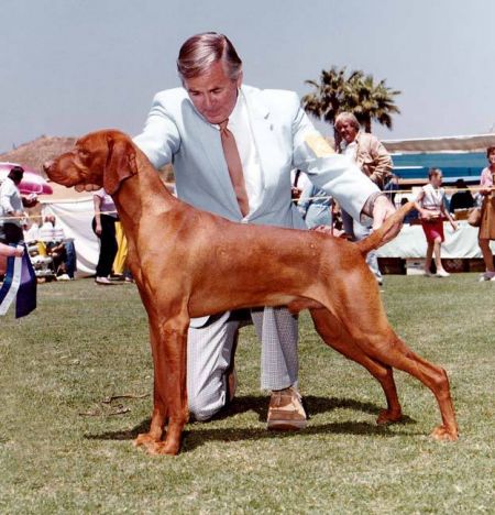 Image of Vintage Magnum Of Magnifico